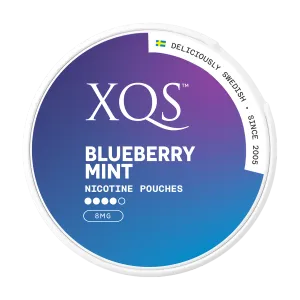 Blueberry Mint XQS Nicotine Pouches